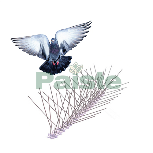 Plastic Base Stainless Steel Bird Spike GKPC-68 - Image 2