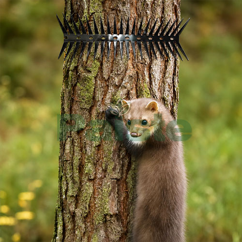 Marten Cat Repellent Belt GKMPB - Image 3