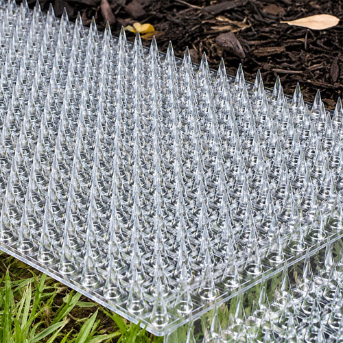 Clear Plastic Cat Spikes GKPC-77-1 - Image 3