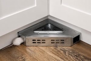 Why More Pest Control Professionals Are Switching to Repeater Corner Mouse Traps