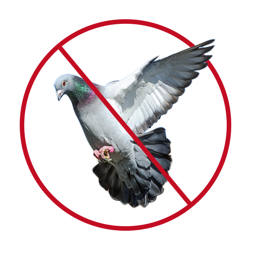bird control