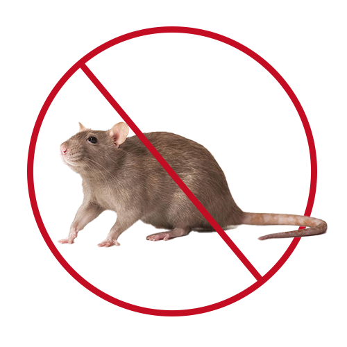 mouse control
