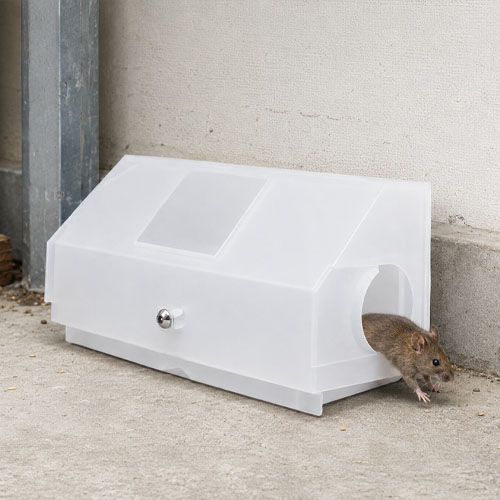 Transparent Plastic Rat Bait Station GKMT-34 - Image 2