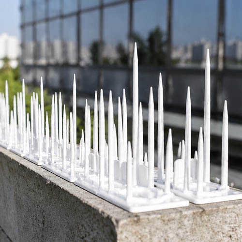 Plastic Anti Bird Spikes GKPC-17-3 - Image 2