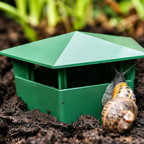 Beer Slug Snail Cage Trap GKST-2 - Image 3