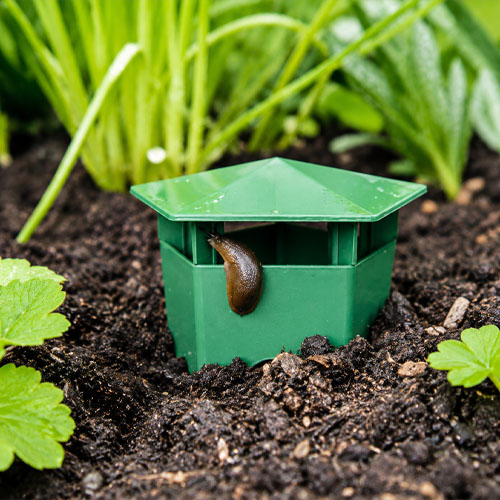 Beer Slug Snail Cage Trap GKST-2 - Image 4