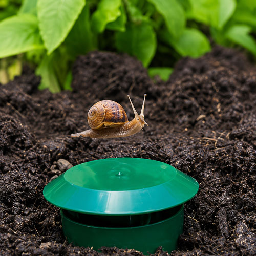 Beer Slug Snail Cage Trap GKST-1 - Image 2