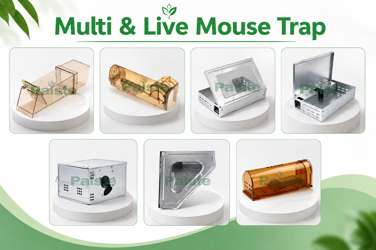 Multi & Live Mouse Trap