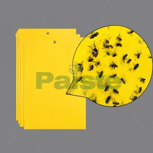 Yellow Fly Sticky Traps GKFT-6