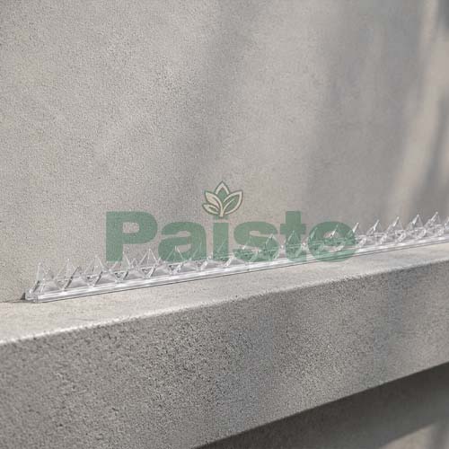 Clear Plastic Bird Spike GKPC-17-8 - Image 2