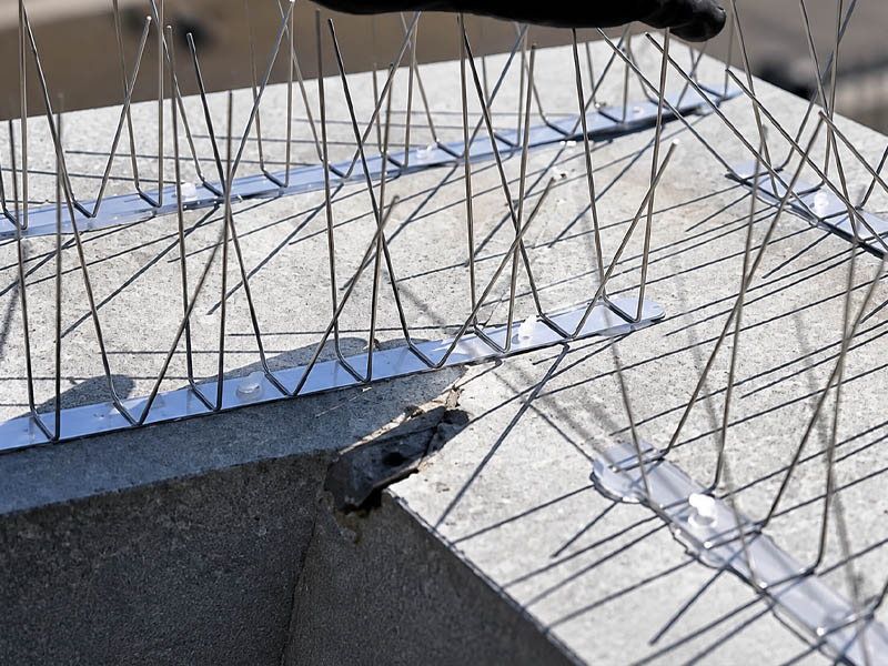 stainless steel bird spikes for commercial building ledges