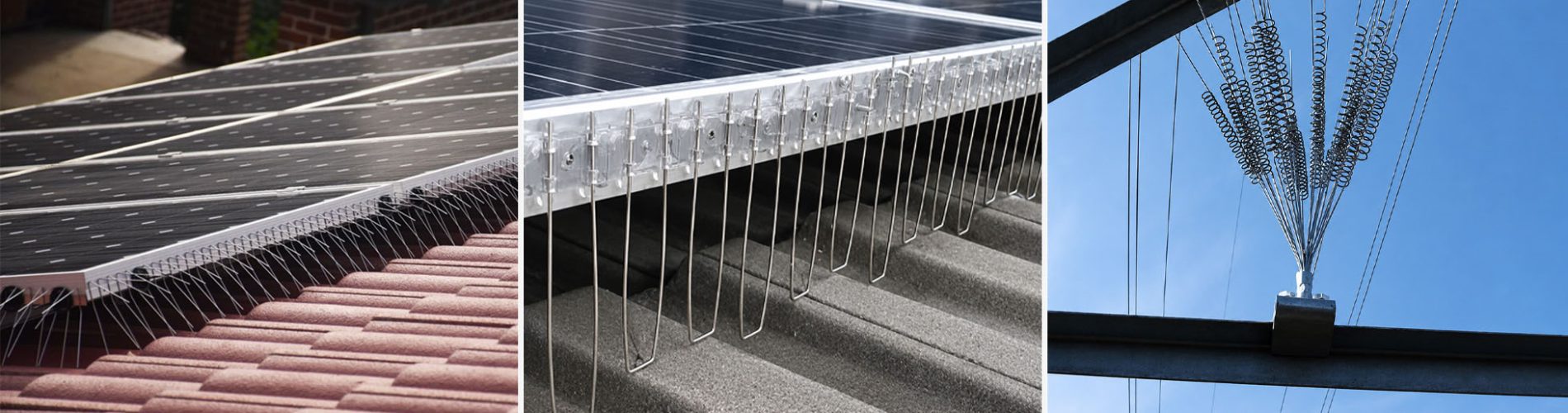 solar panel and power bird spike-4